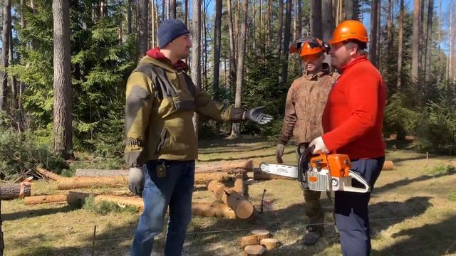 Обзор пилы STIHL MS 440. Бензопила для арбористики