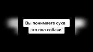 10 МИНУТ СМЕХА / ЗАСМЕЯЛСЯ - ПОДПИСАЛСЯ / ЛУЧШИЕ ПРИКОЛЫ СЕНТЯБРЬ 2021 / ТЕСТ НА ПСИХИКУ!!! #48