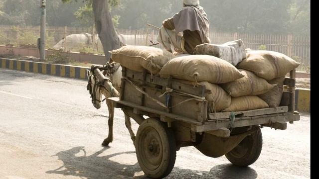 Тигр, крестьянин и лиса- Индийская сказка. смотреть онлайн