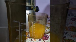 Отжимаем Апельсиновый сок в шнековой Соковыжималке RAWMID Vitamin. Какой результат? Сколько сока?