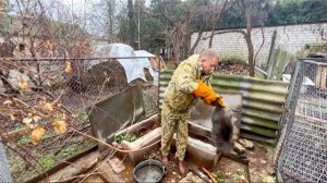Мы в Каховке! Нужно очень быстро собирать животных, туман уходит, начинают стрелять!