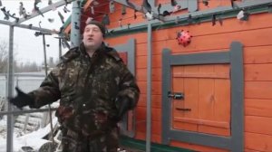 Подготовка курятника к зиме. Ответы на вопросы.