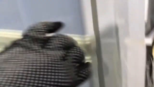 Холодильник Nord КШД317/69 смотреть онлайн