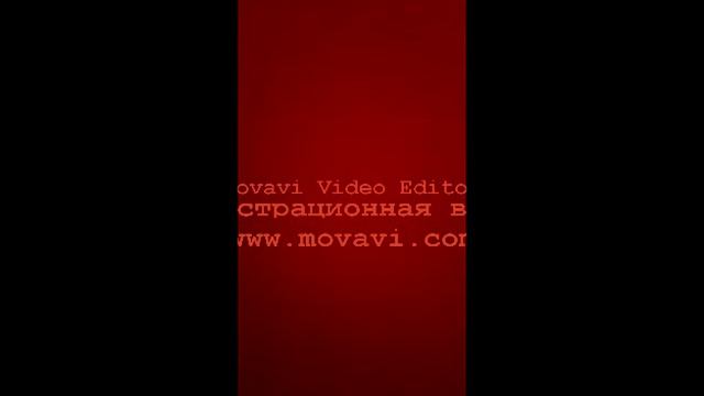 Знакомьтесь, Ева. Моя собака- бультерьер