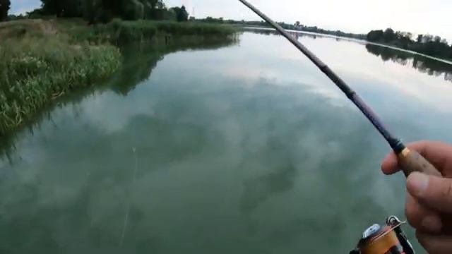 Как я ловлю рыбу в городе. Спиннинг. смотреть онлайн