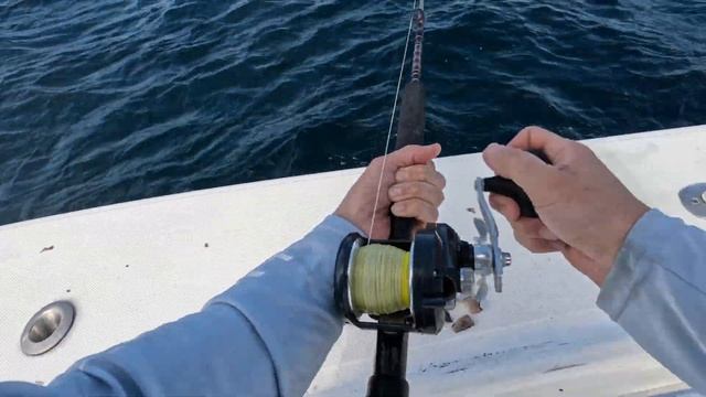 Offshore fishing spot holds RARE fish!! (DELICIOUS!) смотреть онлайн