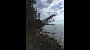 База отдыха ИНХ СО РАН, Караканский бор, Ордынский район Нсо.