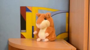 Говорящий хомяк повторюшка поёт Сплин