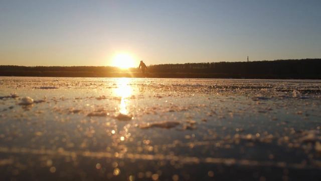 С собакой на коньках смотреть онлайн