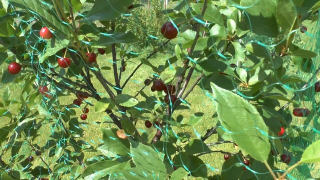 Вышивальная неделя 11 - 21 июля 2022 смотреть онлайн