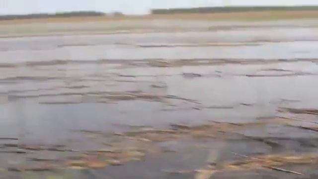 ГЛАЗ РАДУЕТСЯ . САЗАН НЕРЕСТИТСЯ