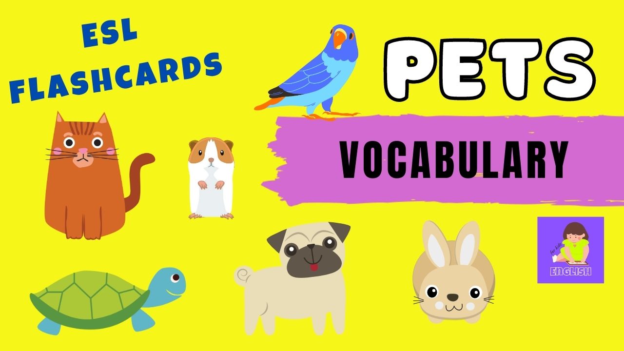 Pets vocabulary. Аппликации для малышей животные английский. Pets Flashcards for Kids. Pets picture for Kids.