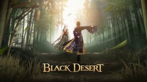 Black Desert вылетает после выбора персонажа.