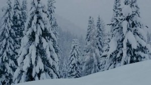 DRACONIAN - The Marriage Of Attaris (Lyrics)