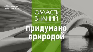 Как и зачем человек «ворует» изобретения природы? Лекции зоолога Ильи Гомыранова