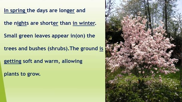 Lesson 83. Spring is coming! (Наступает весна!). Природа, погода, люди, одежда, животные весной. смотреть онлайн