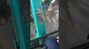 Экскаватор Янмар Vio30 / Быстросъём гидравлический / на джостиках / 1.800 цена