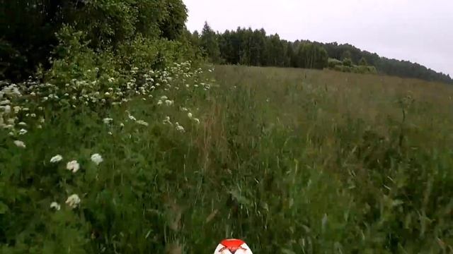 В поисках земляники (Октябрьский, Широково, Плюсково, Кутьково). смотреть онлайн