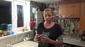 Здоровье, чудо средство, лечим  раны, прыщи и другое, для проблемной кожи, коля оля шаповаловы