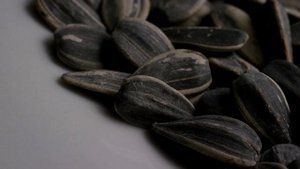 Чем полезны подсолнечные семечки?