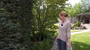 МОЙ МАЛОУХОДНЫЙ САД