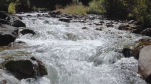 Горная река Архыз. Северный Кавказ. Футаж 4К.