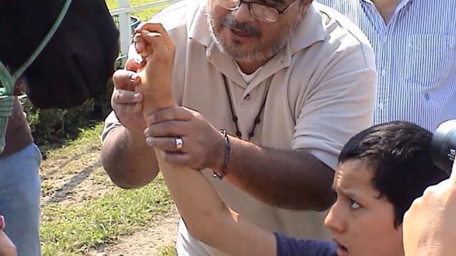 Hermano Jose Manuel Moreno смотреть онлайн