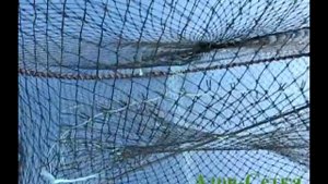 Раколовка складная бочка: диаметр 60 см, высота 30 см