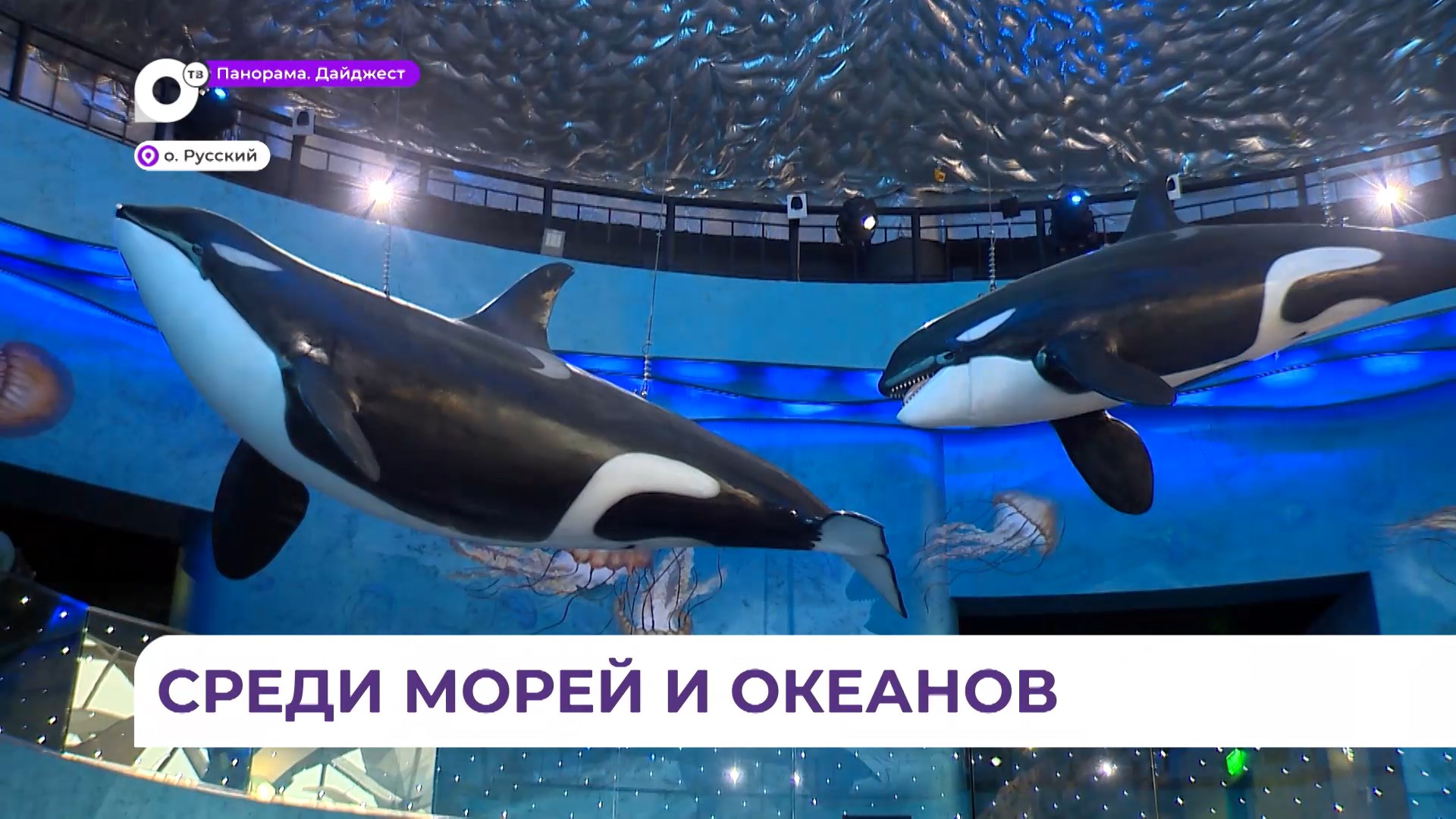 Воспитанники патриотических клубов посетили Приморский океанариум