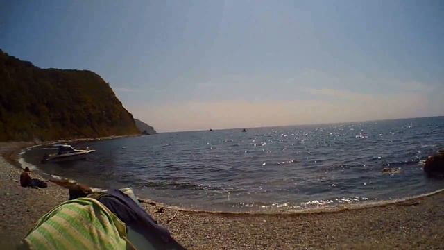 09. Трепанг. Милана кормит смелую птичку. смотреть онлайн