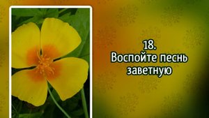 Гимны надежды 18 Воспойте песнь заветную (-)