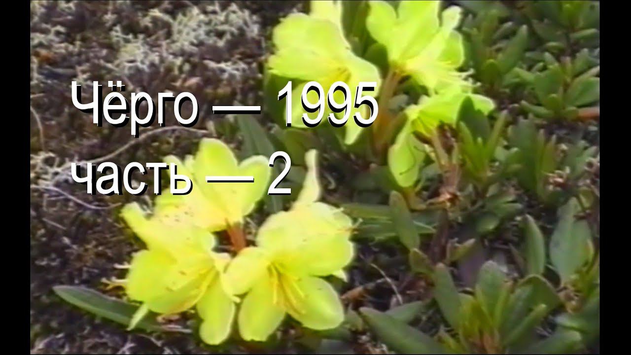 Чёрго — 1995, часть 2, Вилор — Ашим #VHS #поход