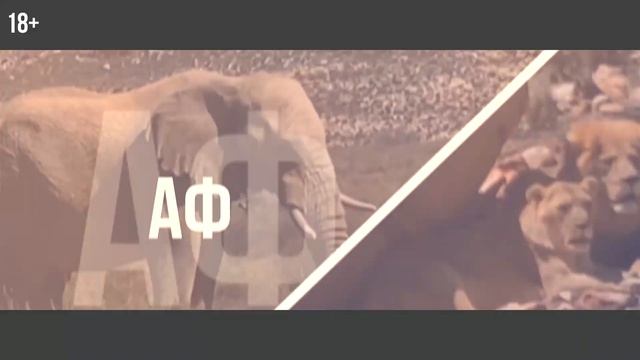 Тур в ЮАР