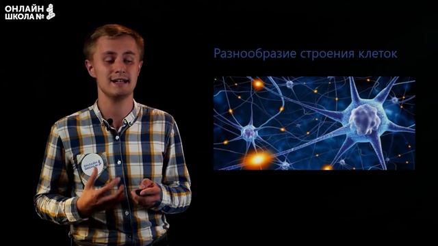 Организм – биологическая система. Видеоурок 19. Биология 5 класс смотреть онлайн