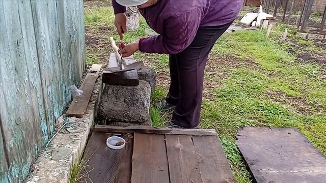 Весенние хлопоты.