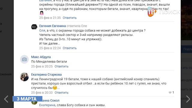 Собака бывает кусачей : проблема с животными без присмотра смотреть онлайн