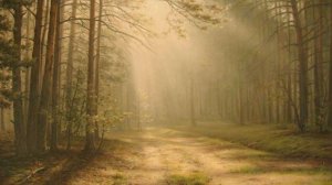 Художник Сычев Алексей Владимирович