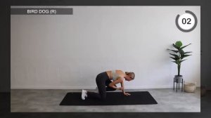 Burn 800 CALORIES With This 60 Minute Full Body HIIT Workout _ 60 Different Exercises _ No Equipment