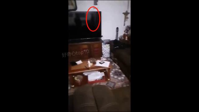 7个会让你无尽恐慌和胆战心惊的猎奇视频