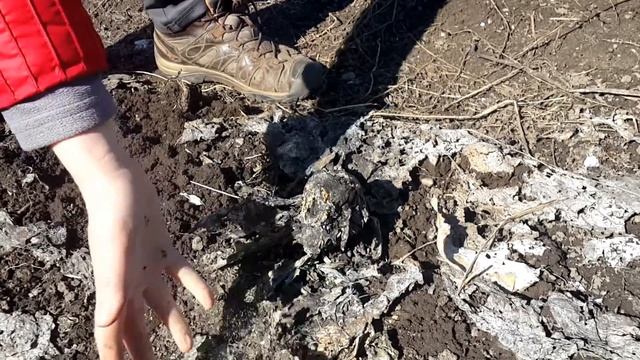 ✅ Собираем самый ранний урожай моркови! Первая поездка на дачу.