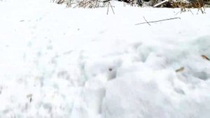 - 20° ГДЕ ПРЯЧУТСЯ БЕЗДОМНЫЕ ЗИМОЙ| РАЙОН БРОДЯГ| РДС28