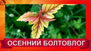 Осенний болтовлог 10 минут солнышка/ Сентябрь - ВСЁ!