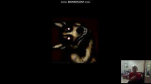 ИСТОРИЯ СМАЙЛ ДОГА HISTORY SMILE DOG