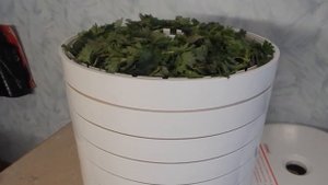 Электросушилка Волтера-1000 ЛЮКС. Проба сушки разных продуктов.