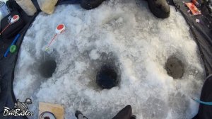 Зимняя рыбалка 2020-21 в черте города Кемерово под Кузнецким мостом, наловил сороги