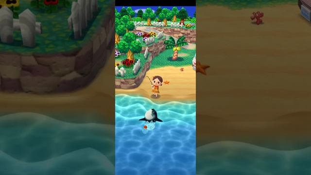 Catching an Ocean Sunfish — Animal Crossing Pocket Camp