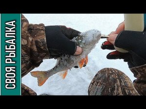 Иваньковское водохранилище, первый технический залив. Отчёт о рыбалке