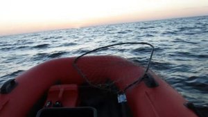 мысли о лодке Боцман 340 спорт