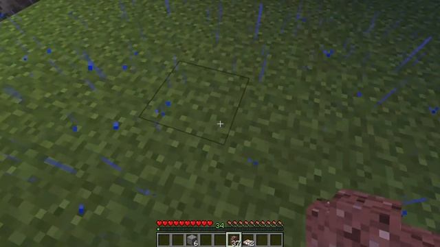 ДЕРЕВНЯ ЖАБОСВЕТОВ В МАЙНКРАФТ | ВЫЖИВАНИЕ смотреть онлайн