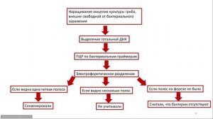 4_Круглый стол 1 _Пе...охозяйственных культур в условиях санкций_2023